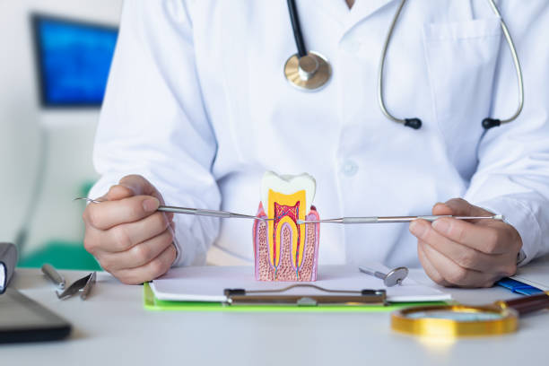 Best Pediatric Emergency Dentist in Davenport, WA